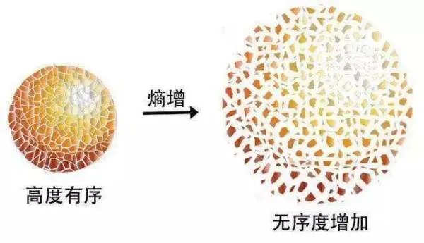 熵是什么意思？