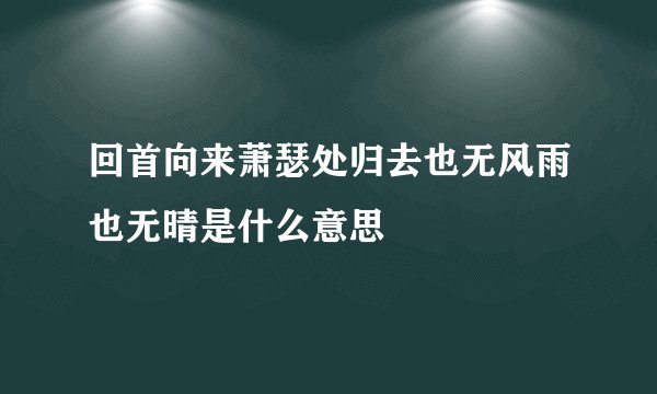 回首向来萧瑟处归去也无风雨也无晴是什么意思