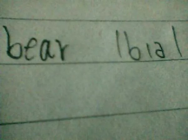 bear的音标
