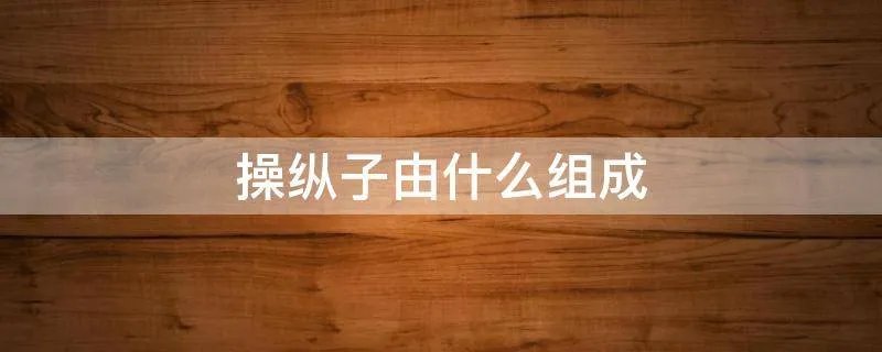 操纵子由什么组成
