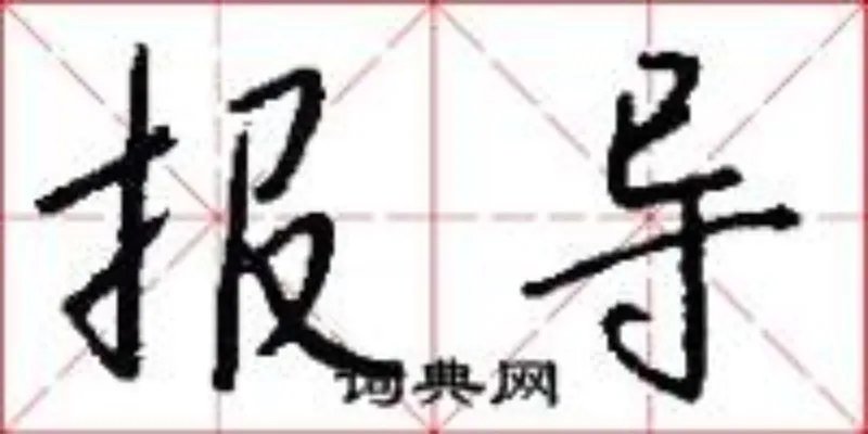 报导