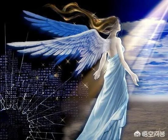影视剧中的天使，其翅膀的结构在现实中能飞上天空吗？