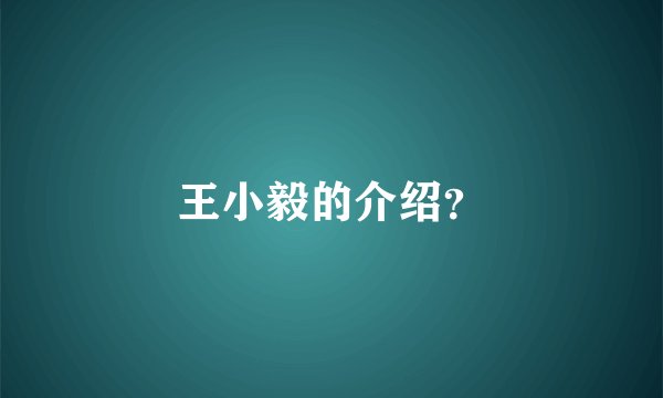 王小毅的介绍？