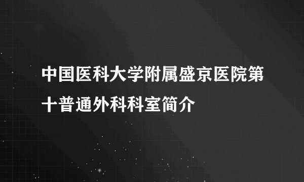 中国医科大学附属盛京医院第十普通外科科室简介