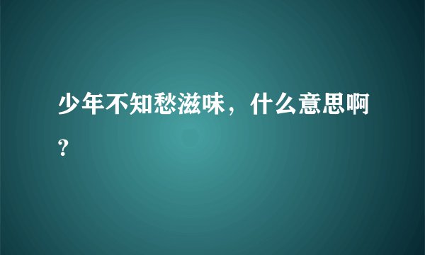 少年不知愁滋味，什么意思啊？