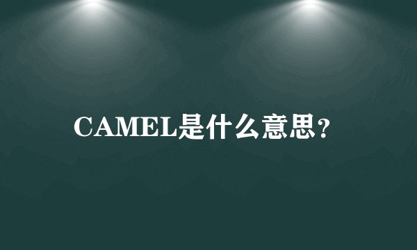 CAMEL是什么意思？