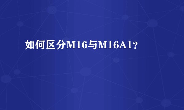如何区分M16与M16A1？