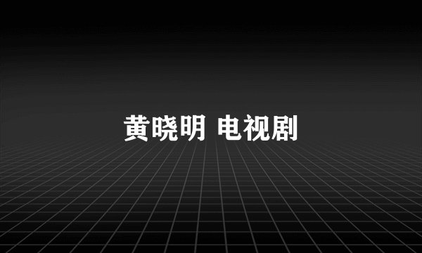 黄晓明 电视剧