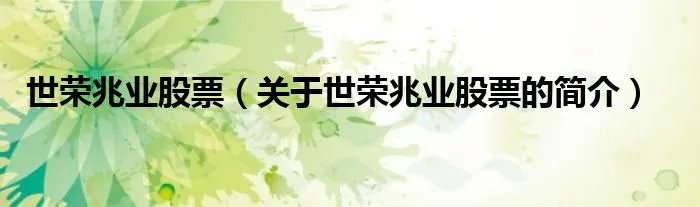世荣兆业股票（关于世荣兆业股票的简介）