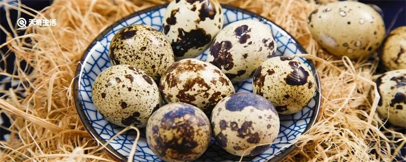 鹌鹑蛋煮多久