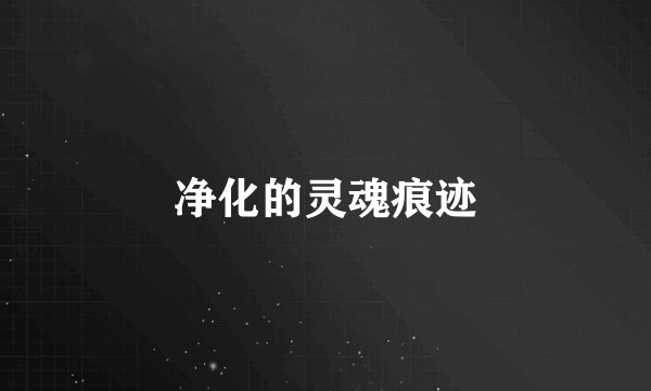 净化的灵魂痕迹