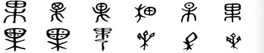 果字的笔顺是什么
