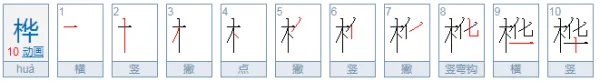 桦组词有哪些