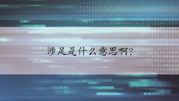 涉足是什么意思啊？