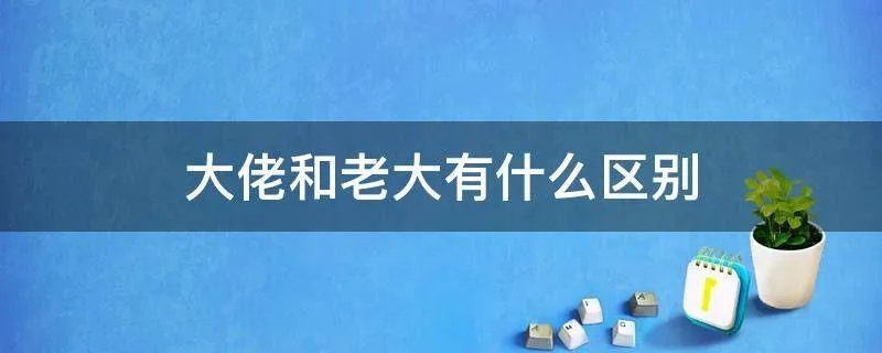 大佬和老大有什么区别
