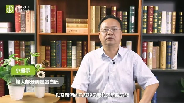 酶是什么物质