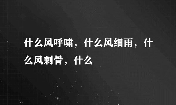 什么风呼啸，什么风细雨，什么风刺骨，什么