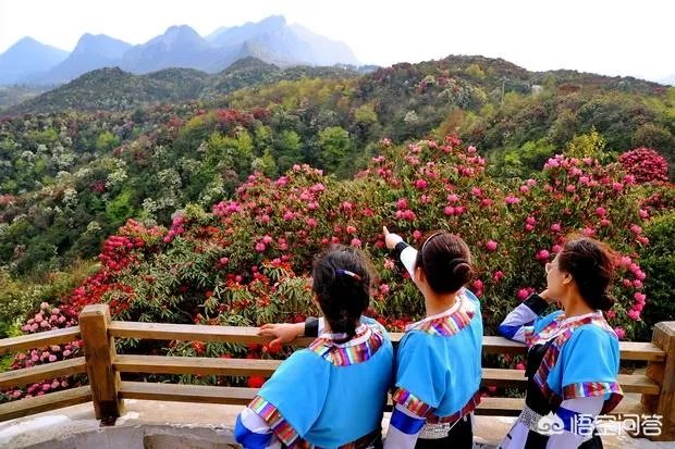 去贵州、云南旅游,有哪些攻略?