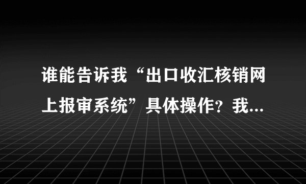 谁能告诉我“出口收汇核销网上报审系统”具体操作？我是新手，请大家帮帮忙？