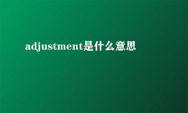 adjustment是什么意思