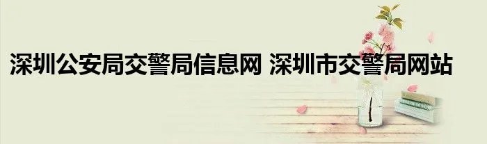 深圳公安局交警局信息网 深圳市交警局网站