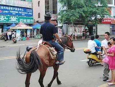 雪天骑马撞人逃逸,我国交通法允许在公路上骑马吗?