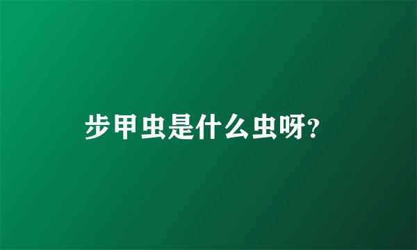 步甲虫是什么虫呀？