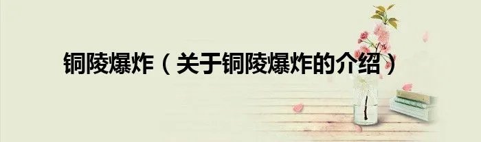 铜陵爆炸（关于铜陵爆炸的介绍）