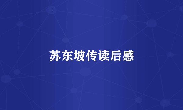 苏东坡传读后感