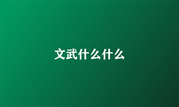 文武什么什么