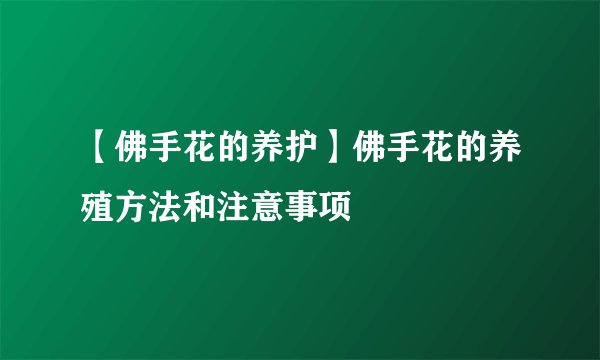 【佛手花的养护】佛手花的养殖方法和注意事项