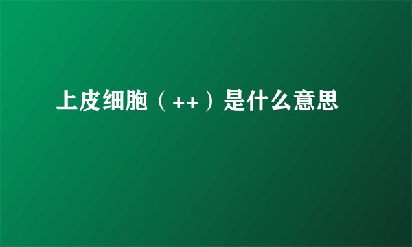 上皮细胞(++)是什么意思