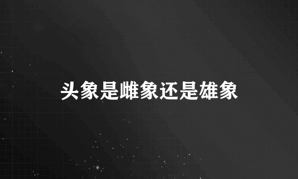 头象是雌象还是雄象