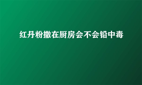 红丹粉撒在厨房会不会铅中毒