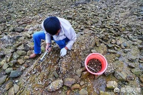 国庆休息这么多天,您会怎么过?
