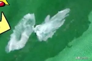 口香糖粘在衣物上如何弄掉?