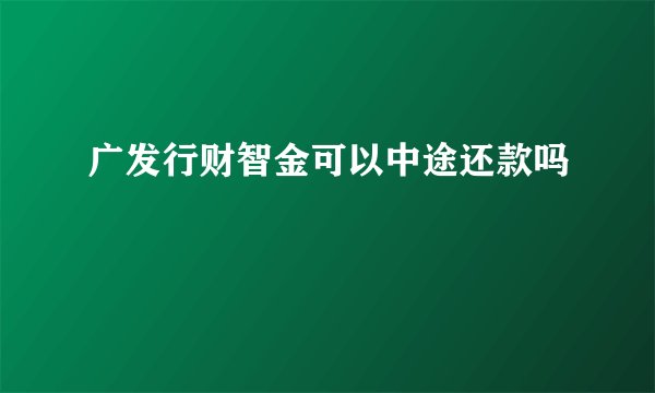 广发行财智金可以中途还款吗