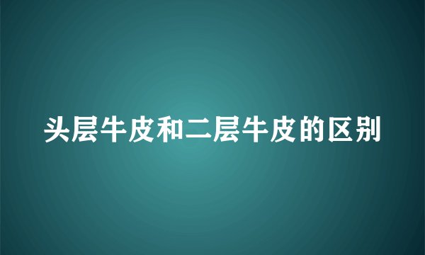 头层牛皮和二层牛皮的区别