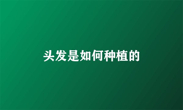 头发是如何种植的