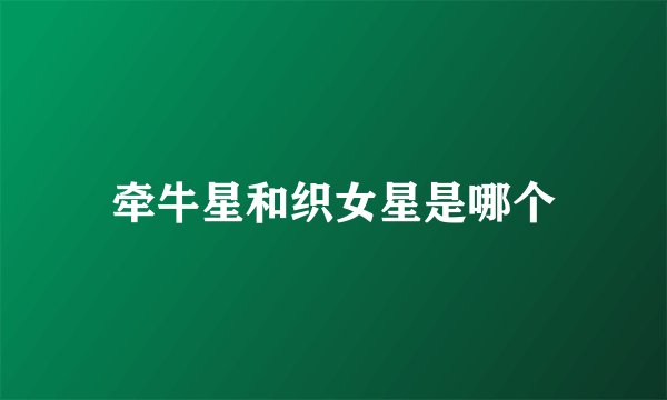 牵牛星和织女星是哪个