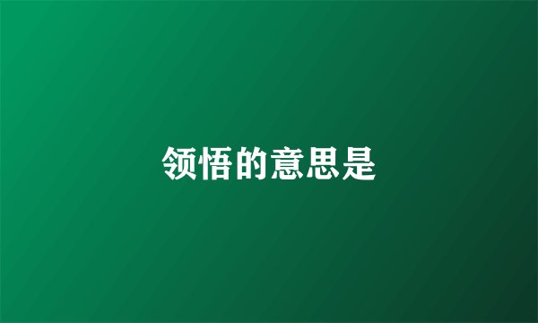 领悟的意思是