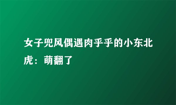 女子兜风偶遇肉乎乎的小东北虎：萌翻了