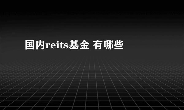 国内reits基金 有哪些