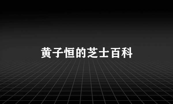 黄子恒的芝士百科