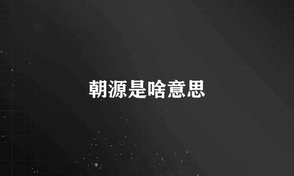 朝源是啥意思