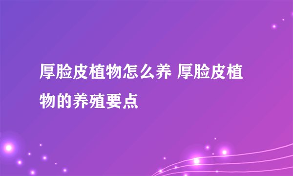厚脸皮植物怎么养 厚脸皮植物的养殖要点