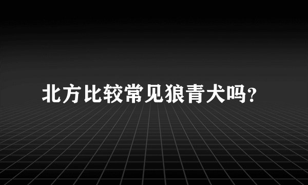 北方比较常见狼青犬吗?