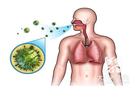 sars病毒症状       