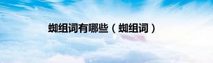 蜘组词有哪些（蜘组词）