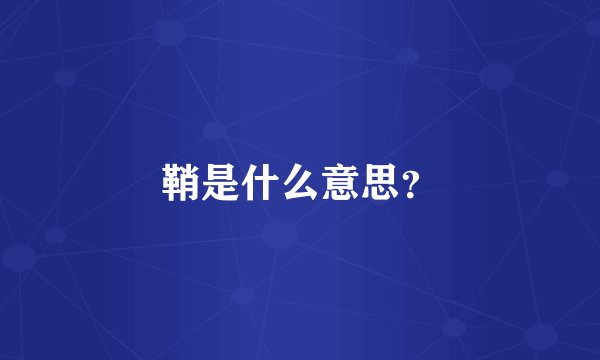 鞘是什么意思？
